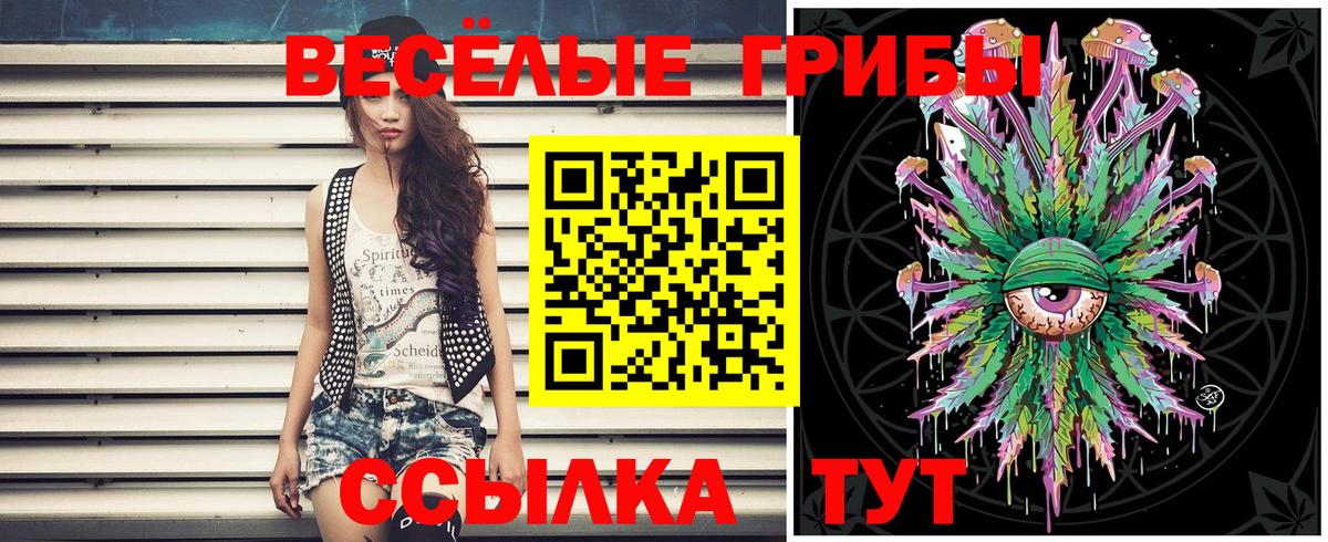 Чехов  сколько стоит  Вход с VPN  Галлюциногенные грибы мухоморы 